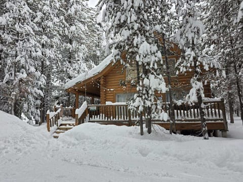 Tall Pines Lodge in the snow 2-2026