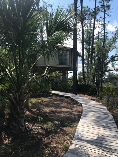 Wind your way through the marsh to privacy!
