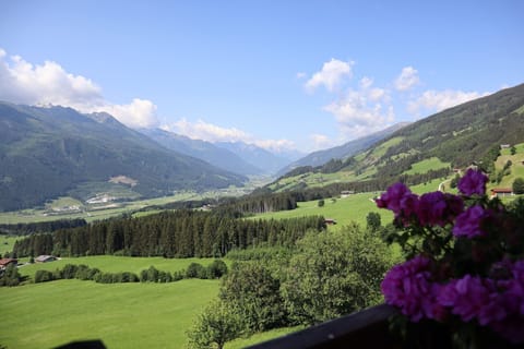 View from Holiday Home [summer]