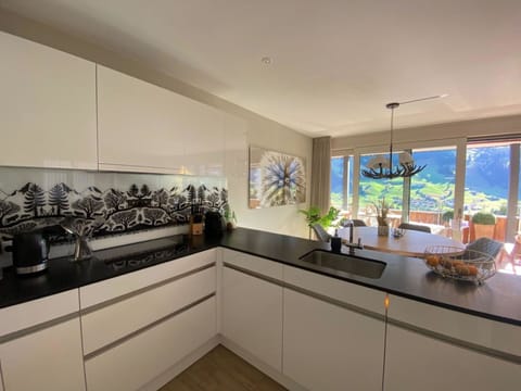 Countertop, Tap, Cabinetry, Plant, Houseplant, Kitchen, Flowerpot, Plumbing Fixture, Window, Sink