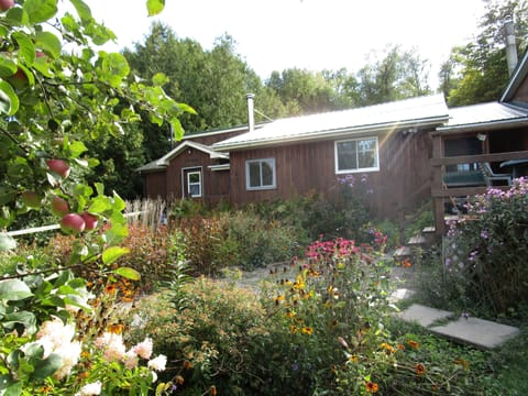 The cottage looks out across the fields