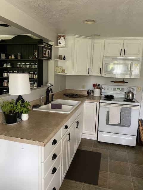 Fully stocked kitchen with microwave and stove/oven.