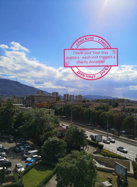 Mountain Vitosha view
