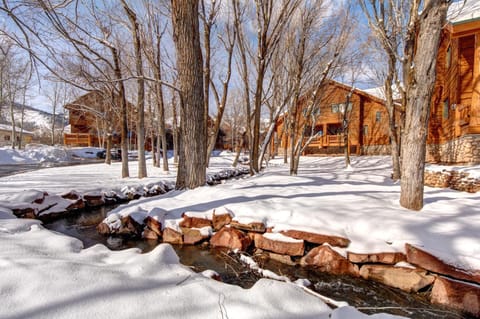 Snowy trees and a mountain setting create a peaceful winter backdrop just steps from your front door.