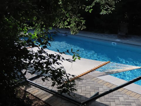 heated salt water pool surrounded by plantings