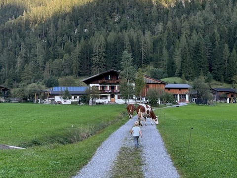 Dürnberger Martina, Fasoldgut - Apartment/1 bedroom/shower, WC Farm Stay in Berchtesgadener Land