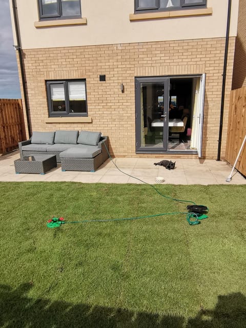 Rear Garden Area
