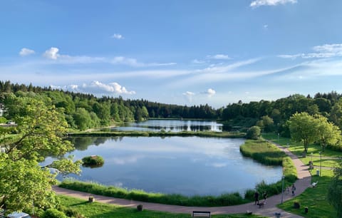 Lake