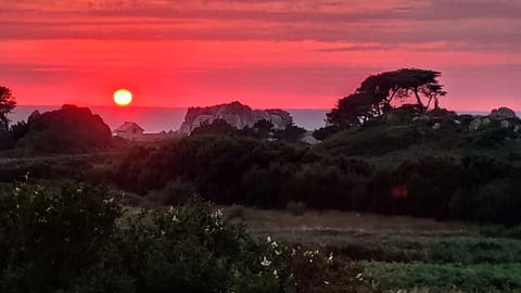 House just a stone's throw from the beach House in Brittany