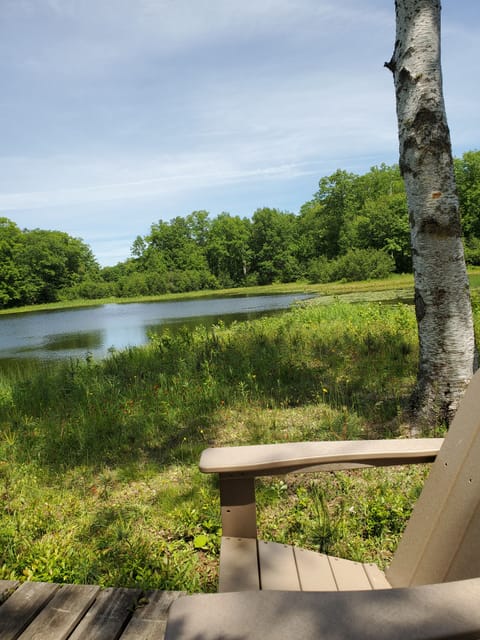 Island looking north.