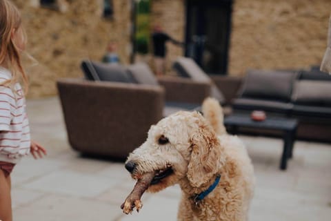 Get back to nature at pet-friendly Plum Dog
