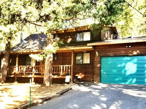 Summer shade under the trees.