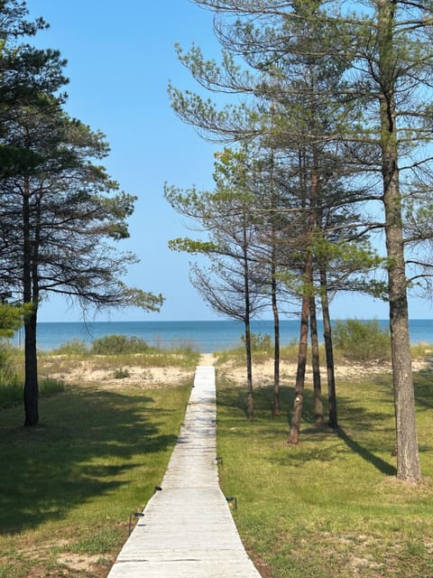 Walkway to the beach, firepit and all the fun
