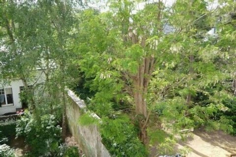 Trees visible from the bedrooms