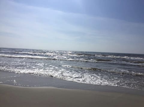 Welcome to Padre Island and the Sparkling City by the Sea