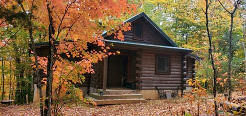 Fall '22, Cabin Front