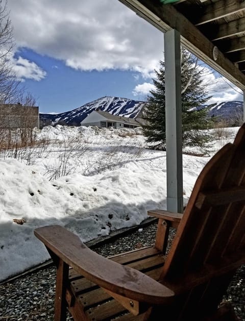 Stunning Mountain Views from the rear patio