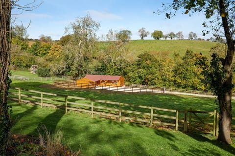 The Paddocks and stables.