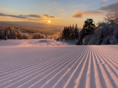 Experience this beauty at our place,