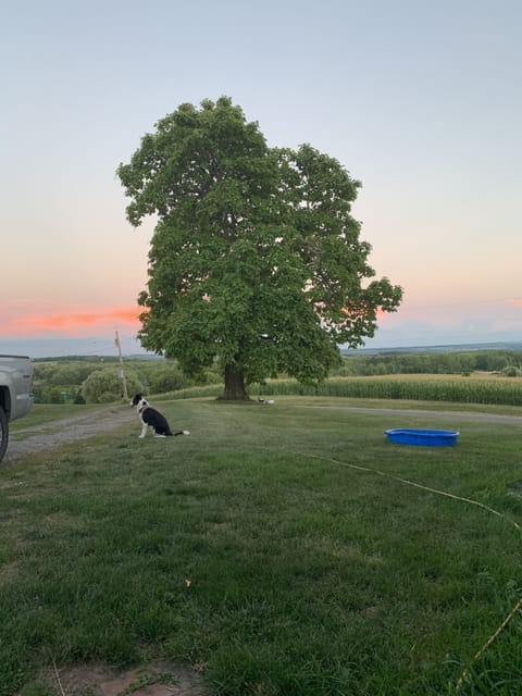 Views for miles.  Beautiful sunrises and sunsets