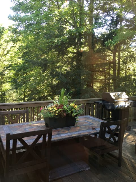 Kitchen deck overlooking creek to Bass Lake - wooded views, private & peaceful