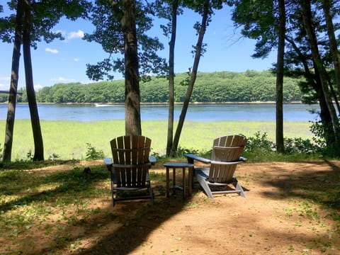 View from Riverbank