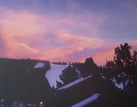 View of Exhibition Ski Run from condo. 