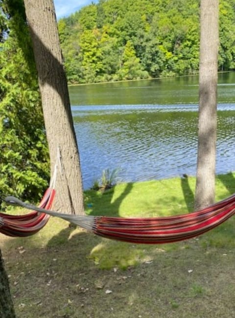 Relax in a hammock on the shore.
