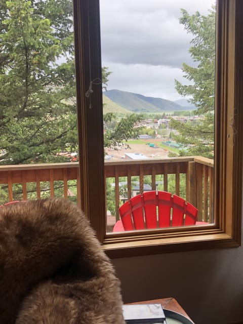 View out the N window from the living room