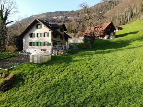 Picture 1