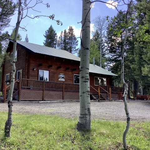 Mighty Moose Log Cabin