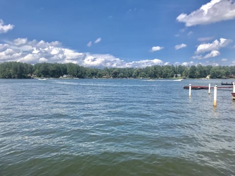 Beautiful view from the dock!