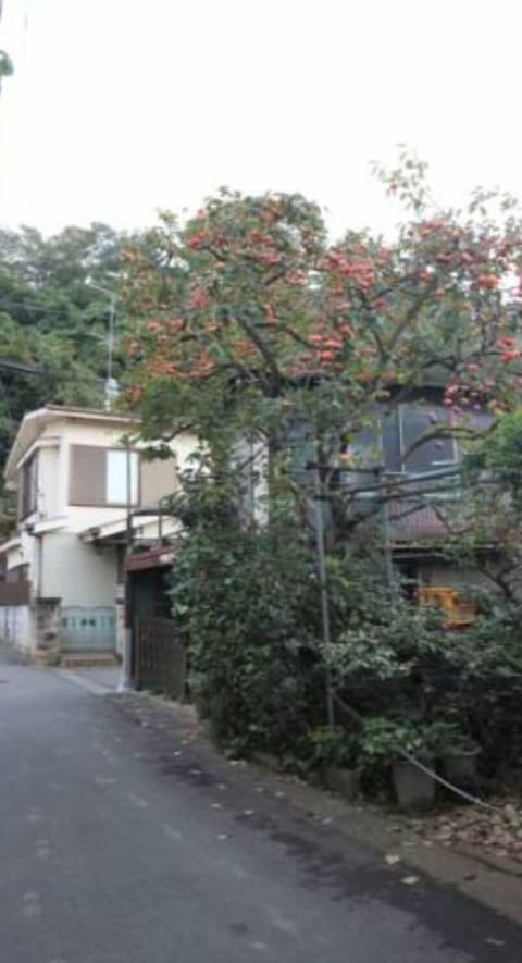 The surroundings and the mountain behind.