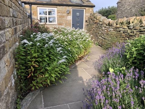 Pathway through garden to entrance doorway.