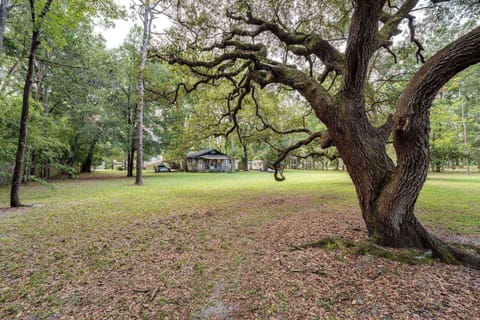 Beautiful Yard!
