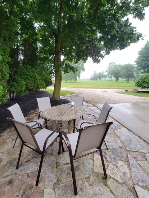 Patio space by garage for guests to use along with propane grill.