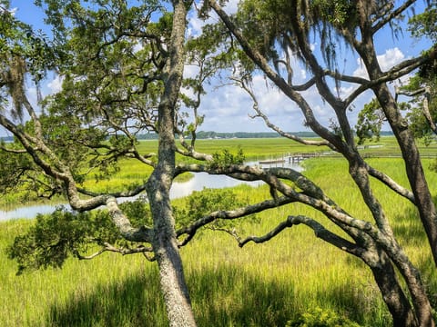 Tidal marsh and Bohicket River views