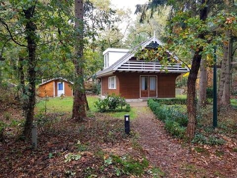 Property, House, Home, Tree, Real Estate, Cottage, Leaf, Building, Forest, Woodland