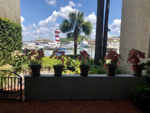 Outdoor Patio View