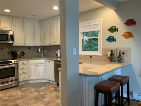 Kitchen with breakfast bar