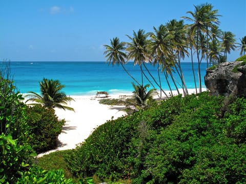 Bottom Bay, 5 min drive, the most beautiful beach on this planet
