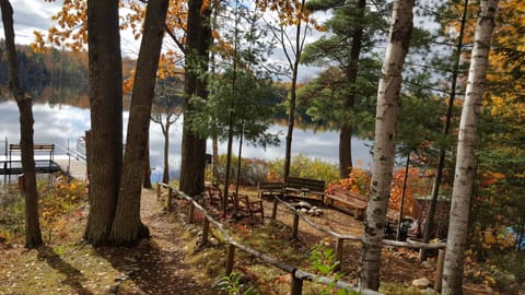 fire ring  for s'mores & listen to sounds of the woods & see the stars