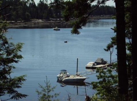 Looking off the deck