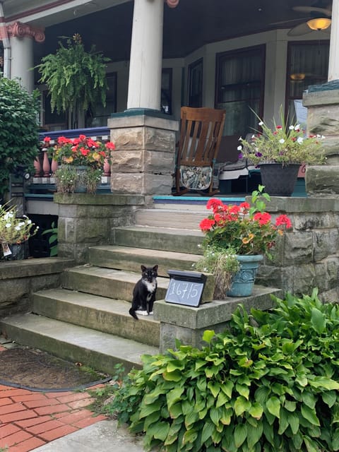 Old fashioned front porch w rockers, swing, couch, & ceiling fan.