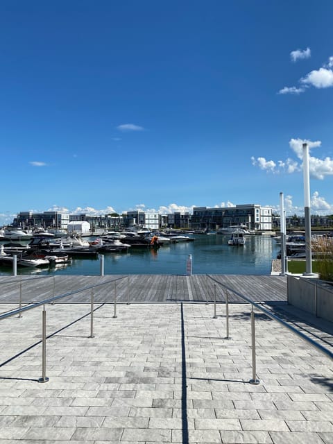 Boardwalk 
