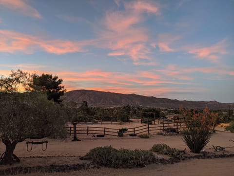 sunset view from the patio