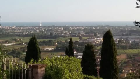 hilly - only 7 km from sea