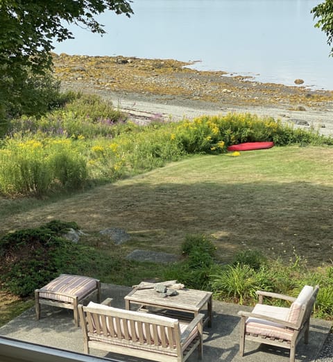 Patio view from house.