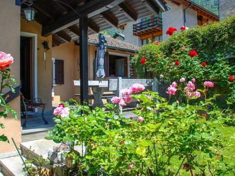 Flower, Property, Plant, House, Botany, Garden, Architecture, Building, Real Estate, Yard