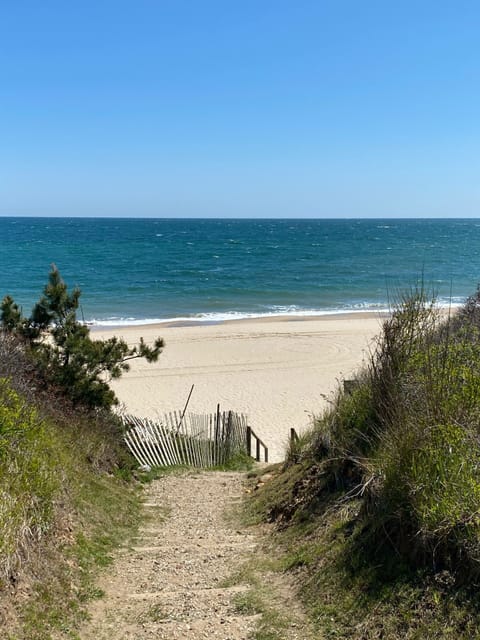 Stairs leading down to beach 